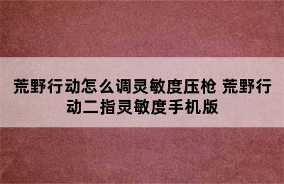 荒野行动怎么调灵敏度压枪 荒野行动二指灵敏度手机版